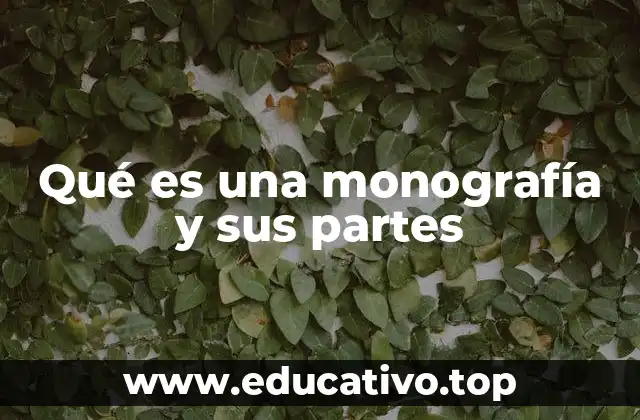 Qué es una monografía y sus partes