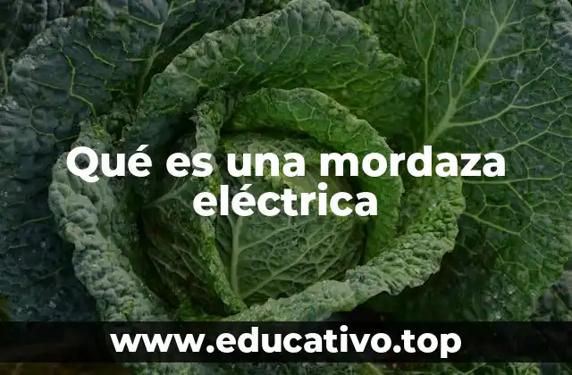Qué es una mordaza eléctrica