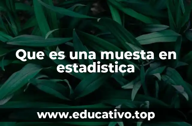Que es una muesta en estadistica