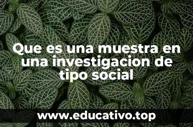 Que es una muestra en una investigacion de tipo social