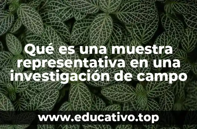Qué es una muestra representativa en una investigación de campo