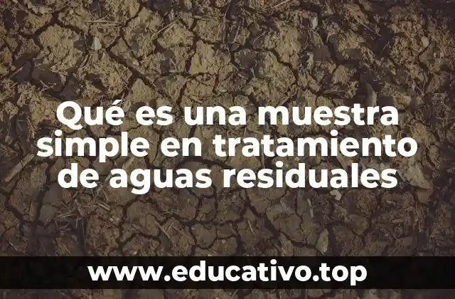 Qué es una muestra simple en tratamiento de aguas residuales