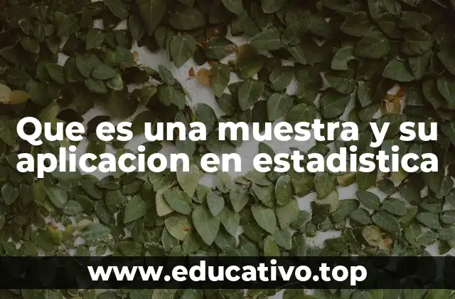 Que es una muestra y su aplicacion en estadistica