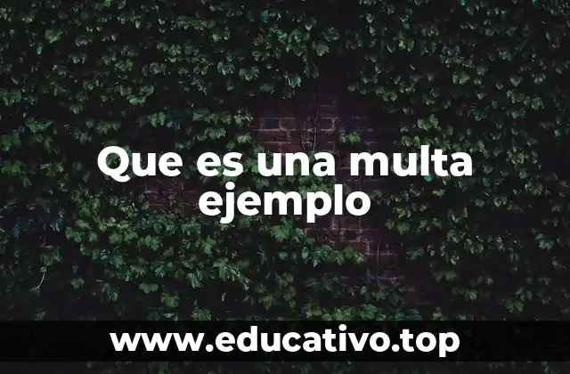 Que es una multa ejemplo