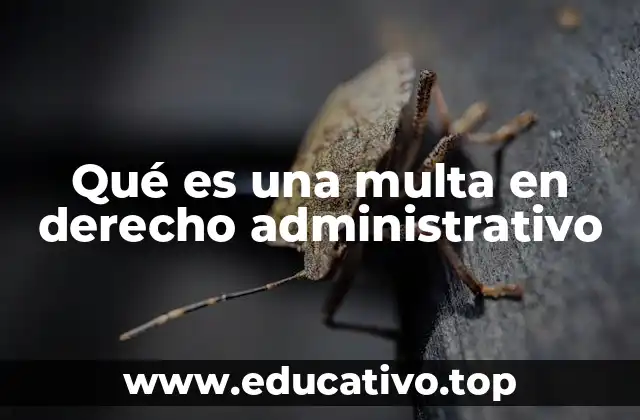 Qué es una multa en derecho administrativo