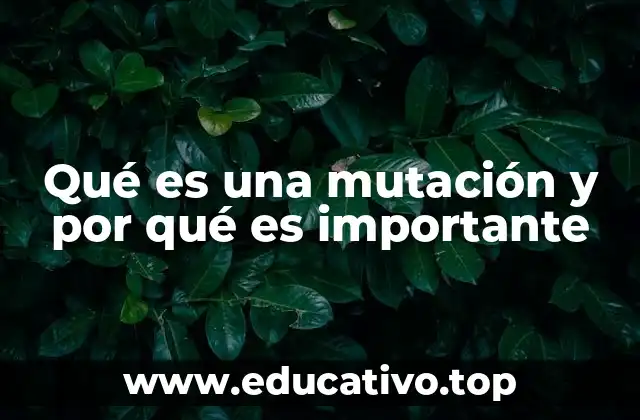 Qué es una mutación y por qué es importante