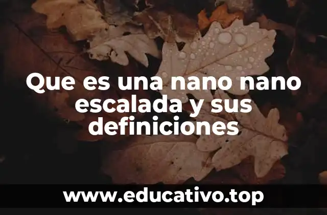Que es una nano nano escalada y sus definiciones