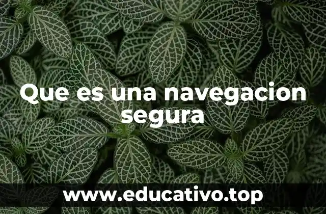 Que es una navegacion segura