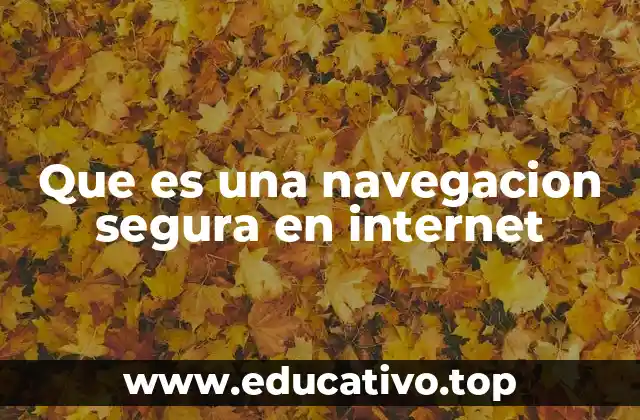 Que es una navegacion segura en internet