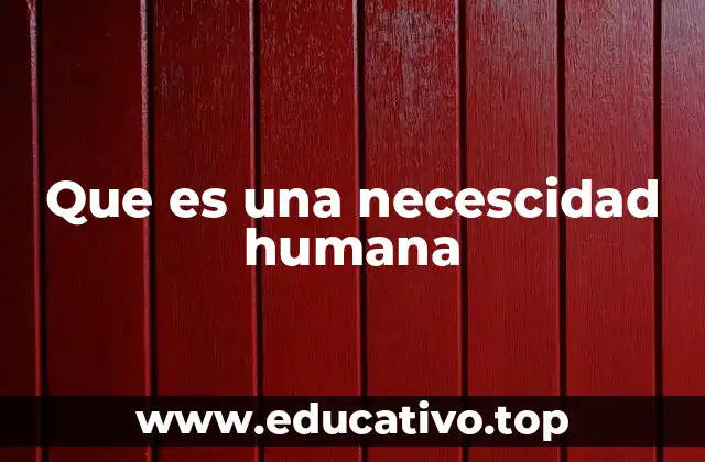 Que es una necescidad humana