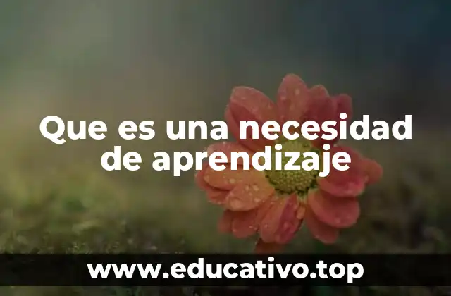 Que es una necesidad de aprendizaje