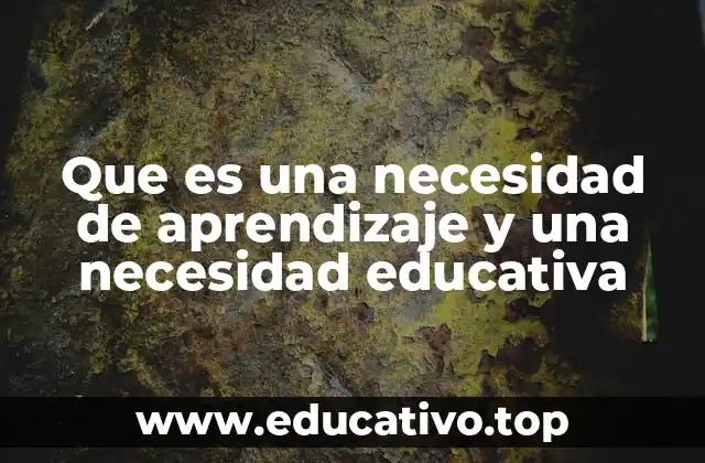 Que es una necesidad de aprendizaje y una necesidad educativa
