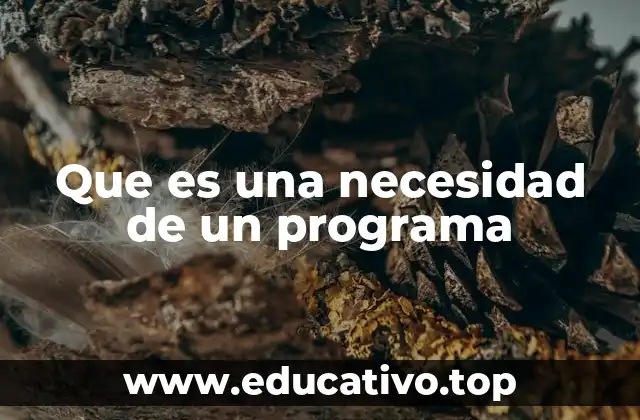 Que es una necesidad de un programa