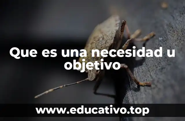 Que es una necesidad u objetivo