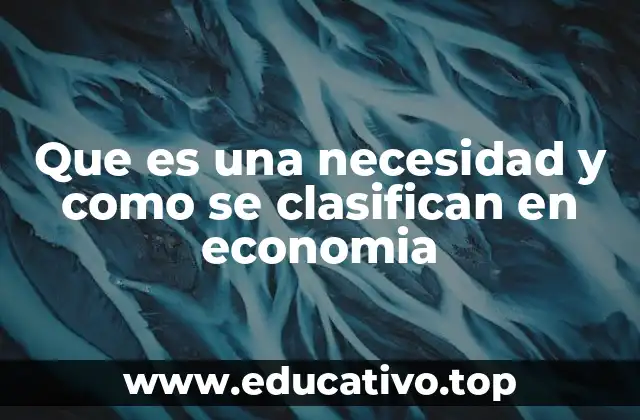 Que es una necesidad y como se clasifican en economia