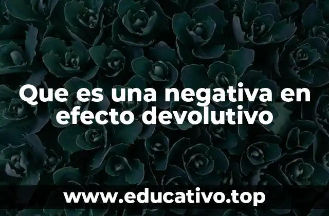 La importancia del efecto devolutivo en el derecho procesal