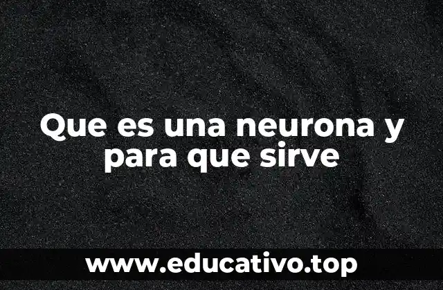 Que es una neurona y para que sirve