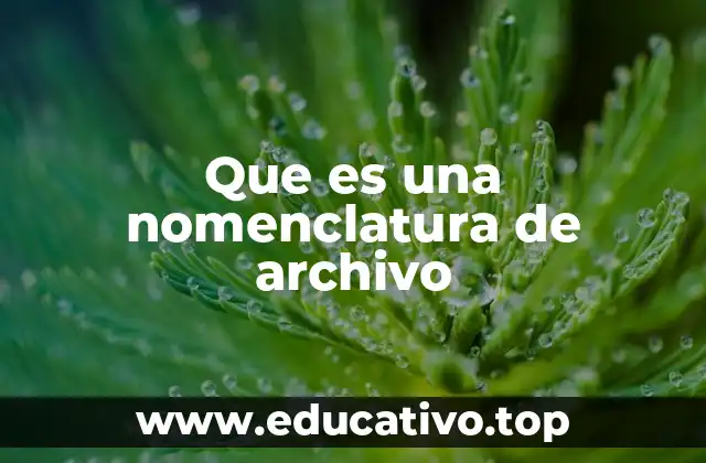 Que es una nomenclatura de archivo