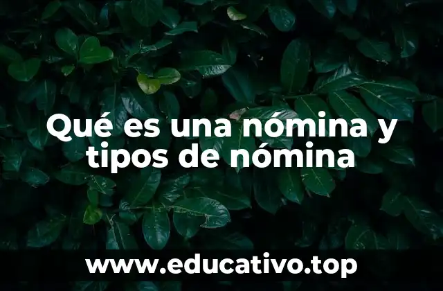 Qué es una nómina y tipos de nómina
