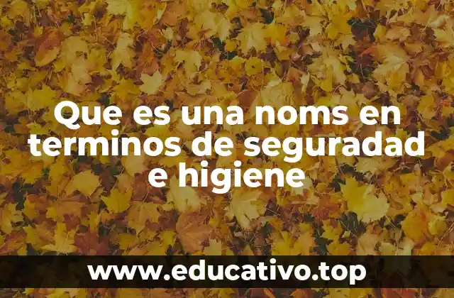 Que es una noms en terminos de seguradad e higiene