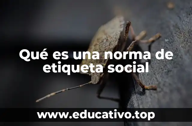 Qué es una norma de etiqueta social