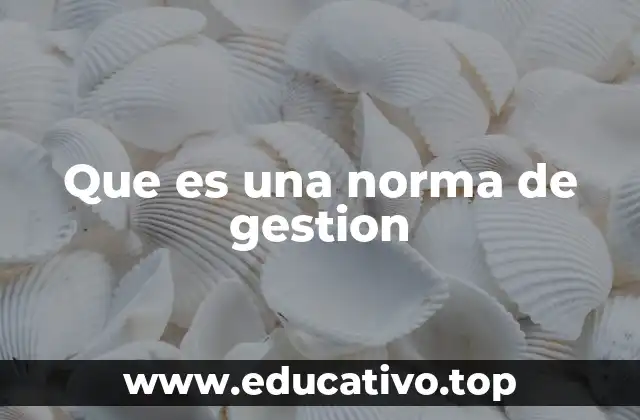 Que es una norma de gestion