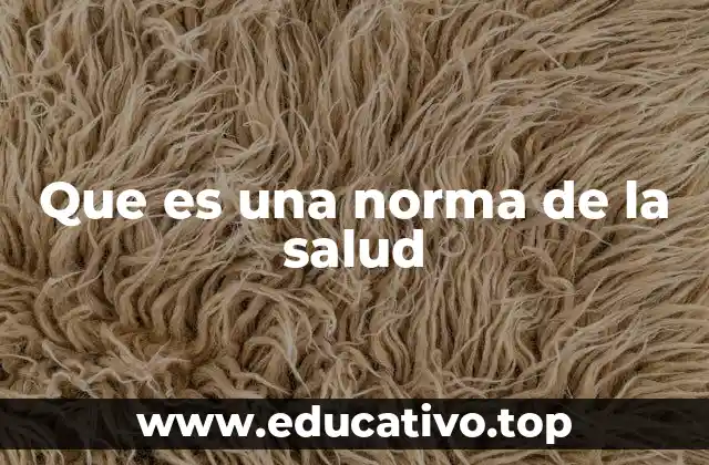 Que es una norma de la salud