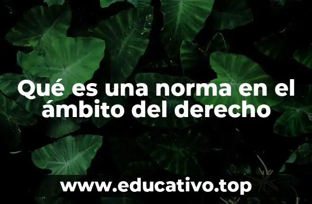 Qué es una norma en el ámbito del derecho
