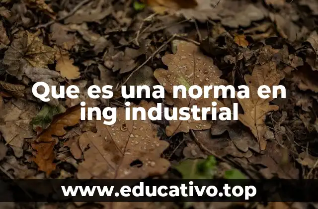 Que es una norma en ing industrial