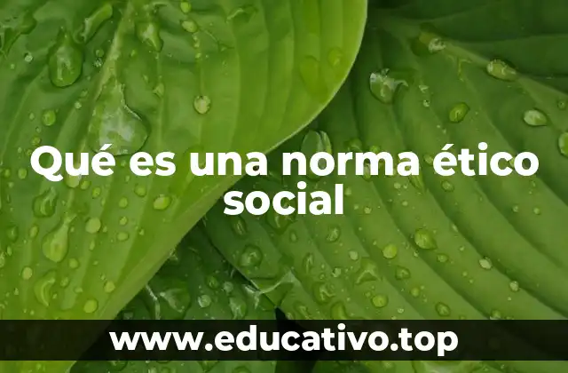 Qué es una norma ético social