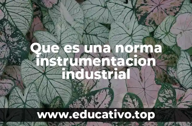 Que es una norma instrumentacion industrial