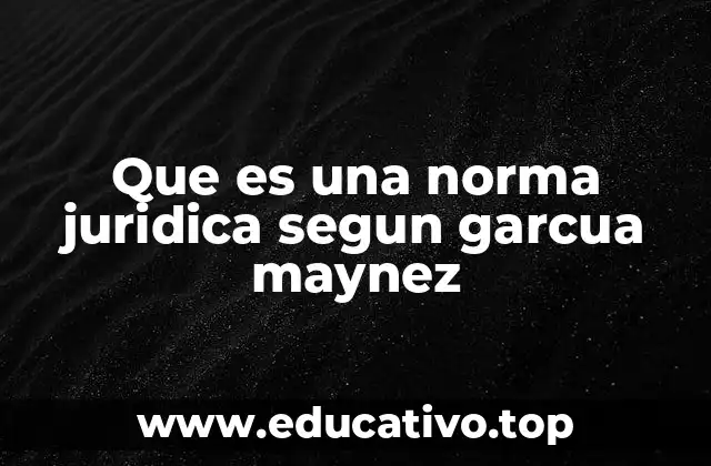 Que es una norma juridica segun garcua maynez