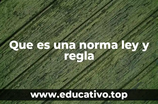 Que es una norma ley y regla