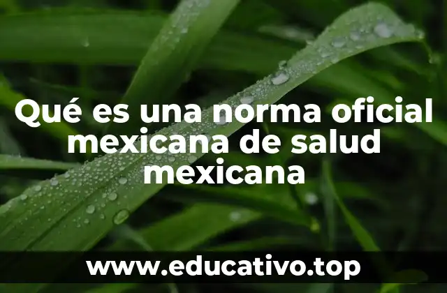 Qué es una norma oficial mexicana de salud mexicana