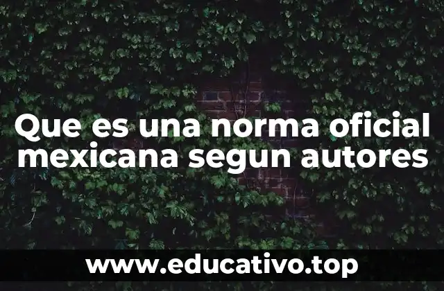 Que es una norma oficial mexicana segun autores