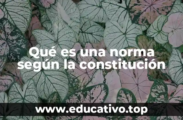 Qué es una norma según la constitución