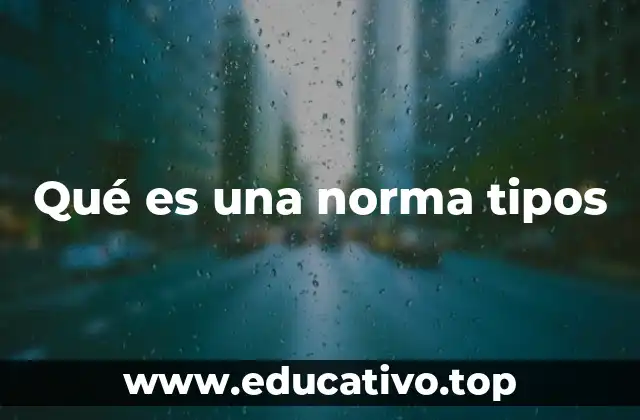 Qué es una norma tipos
