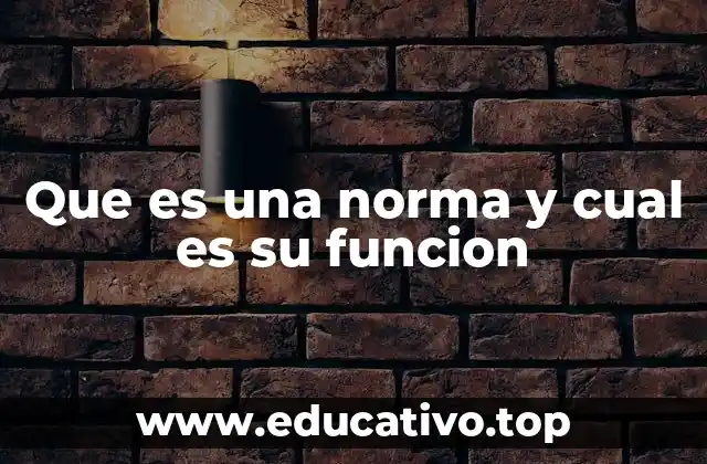 Que es una norma y cual es su funcion
