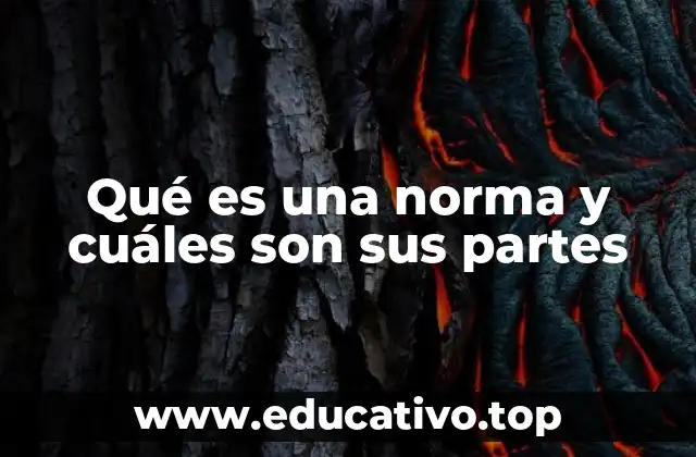 Qué es una norma y cuáles son sus partes