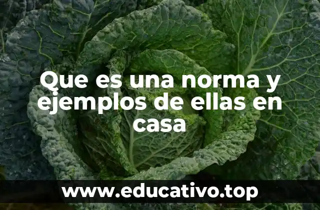 Que es una norma y ejemplos de ellas en casa