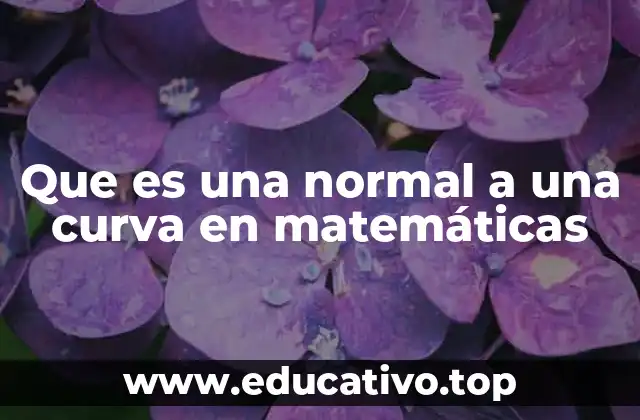 Que es una normal a una curva en matemáticas