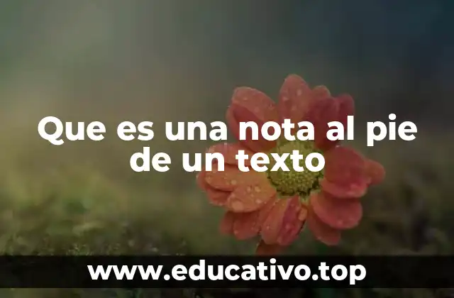 Que es una nota al pie de un texto