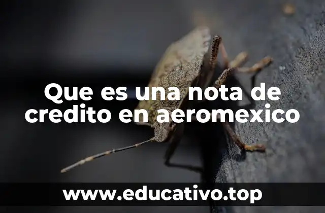 Que es una nota de credito en aeromexico