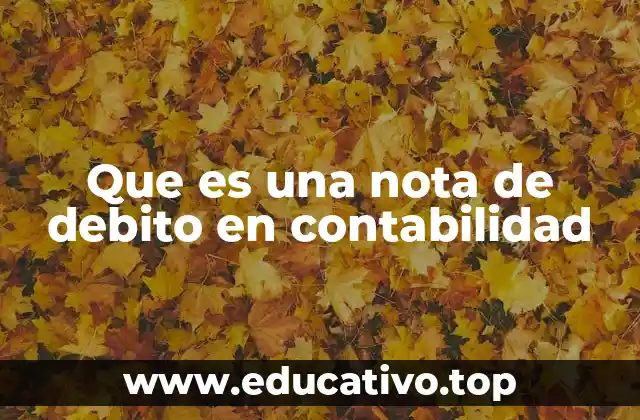 Que es una nota de debito en contabilidad