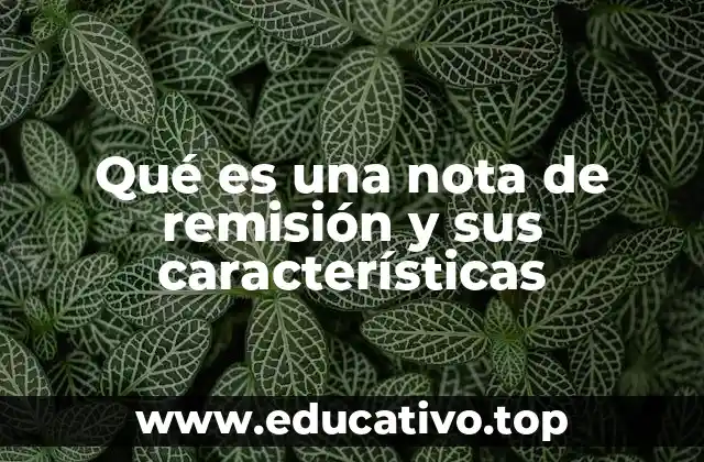 Qué es una nota de remisión y sus características