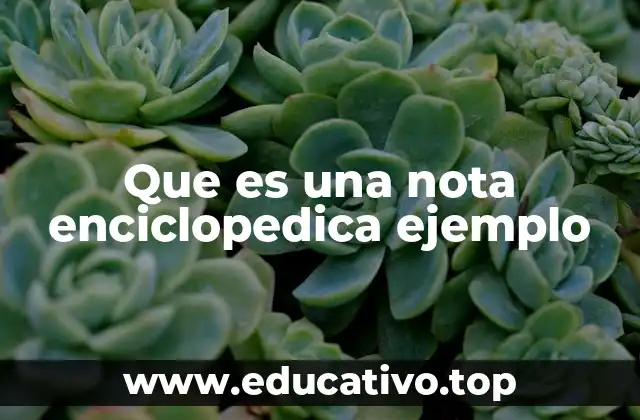 Que es una nota enciclopedica ejemplo