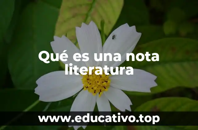 Qué es una nota literatura