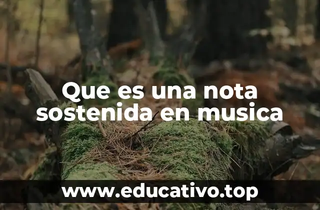 Que es una nota sostenida en musica