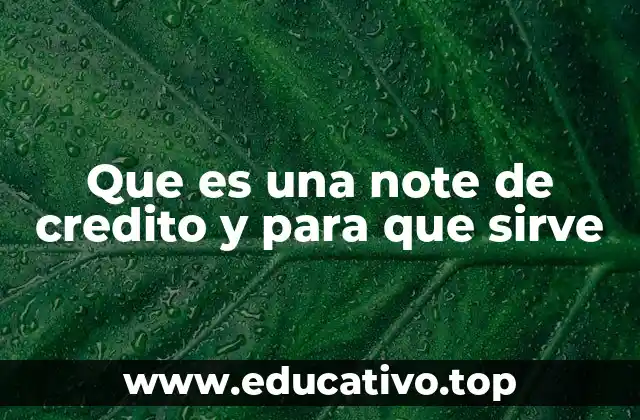 Que es una note de credito y para que sirve