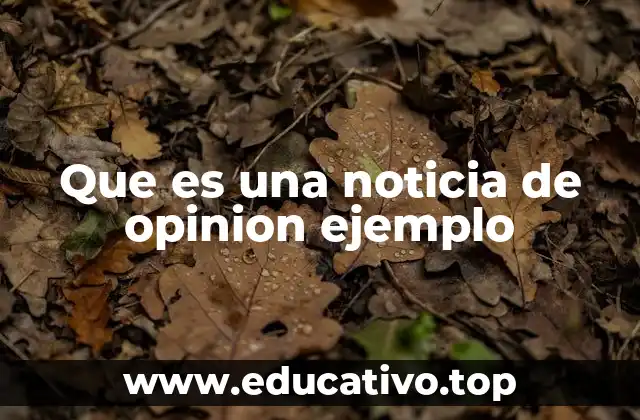 Que es una noticia de opinion ejemplo